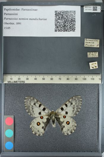 Media type: image;   Entomology 174972